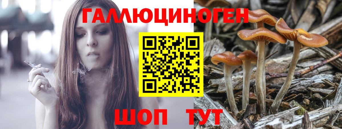 Алейск  Галлюциногенные грибы Magic Shrooms  Вход с VPN  Псилоцибиновые грибы GOLDEN TEACHER 